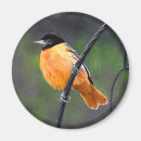 Suche nach vogelkunst magnete Vogelvogel