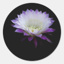 Suche nach schönheiten aufkleber Mit blumen