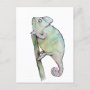 Suche nach chamäleon postkarten Aquarell