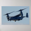 Suche nach osprey Eitelkeit