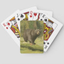 Suche nach bären spielkarten Braunbär