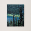 Suche nach immergrüner baum puzzle Nordamerika
