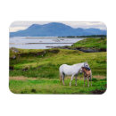 Suche nach galway magnete Konnemara