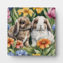 Suche nach hase fotoplatten Kaninchen