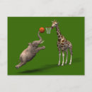 Suche nach trainer postkarten Coach