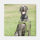 Suche nach dogge magnete Vertikal