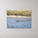 Suche nach wildlife leinwandbilder Natur