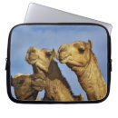 Suche nach ägypten laptop schutzhüllen Kairo