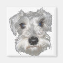 Suche nach miniature schnauzer magnete Terrier
