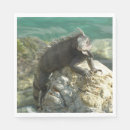 Suche nach leguane Natur