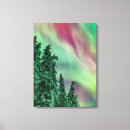 Suche nach alaska leinwandbilder Nordlichter