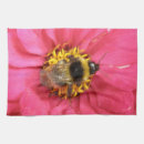 Suche nach makro geschirr tücher Foto