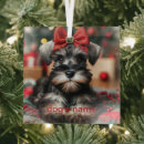 Suche nach schnauzer ornamente Weihnachten
