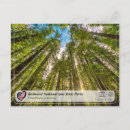 Suche nach sequoia national park postkarten Usa
