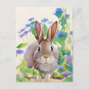 Suche nach portraits postkarten Kaninchen