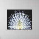 Suche nach schwarze federn leinwandbilder Tiere