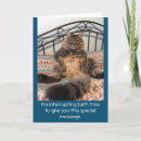 Suche nach dicke katzen postkarten Große katze