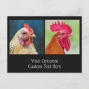 Suche nach bunte vögel postkarten Huhn