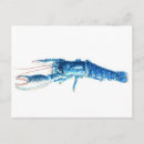 Suche nach watercolour postkarten Watercolor