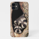Suche nach waschbär iphone hüllen Tiere