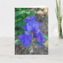 Suche nach iris blumen karten Schwertlilie
