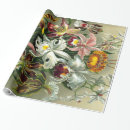 Suche nach haeckel geschenkpapier Illustration