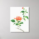 Suche nach ehret poster Blumen