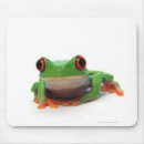 Suche nach rote augen mousepads Reptilien