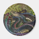 Suche nach snake magnete Natur