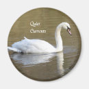 Suche nach mute magnete Schwan