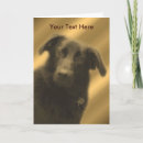Suche nach schwarzer hund karten Niedlich