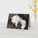 Suche nach romantische katzen karten Girlfriend