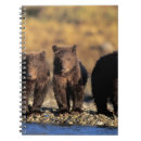 Suche nach grizzlybär kleine notizbücher Fleischfresser