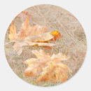 Suche nach ahornblatt aufkleber Herbst