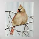 Suche nach wintervögel poster Rot