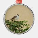 Suche nach spatzen ornamente Natur