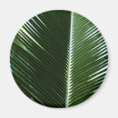 Suche nach palmen magnete Palmfronten