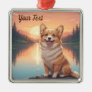 Suche nach pembroke welsh corgi ornamente Hund
