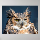 Suche nach 20x16 poster Wildtiere