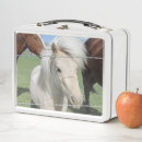 Suche nach pony brotdosen Pferde