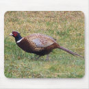 Suche nach fasan mousepads Vogel