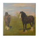 Suche nach pony fliesen Reiter