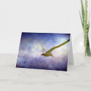 Suche nach möwe karten Fotografie