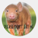 Suche nach andere säugetiere aufkleber Haustiere