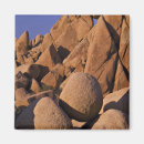 Suche nach joshua tree magnete Landschaft