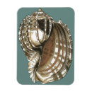 Suche nach juwel magnete Natur
