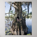 Suche nach jagd poster See
