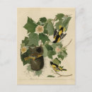 Suche nach baltimore poster Farbe