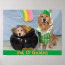 Suche nach kobold poster St patrick's day