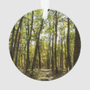 Suche nach oktober ornamente Natur